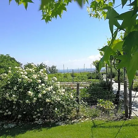 Relais Le Rocche לה מורה